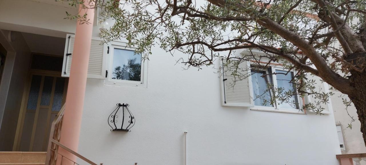 Olive Tree Διαμέρισμα Ζαντάρ Εξωτερικό φωτογραφία